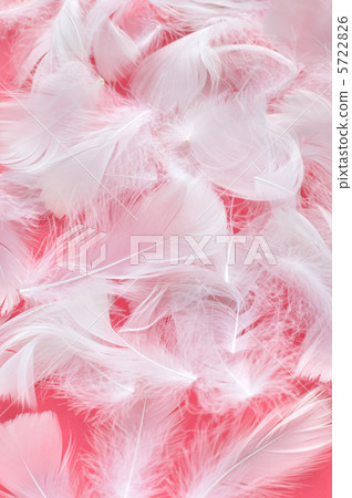 White feathers 5722826