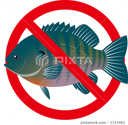 藍鰓太陽 外來物種 非本地魚種 5723462