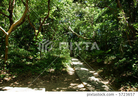 Funabori Utakute Fu Utakiri門入口Houjouguchi 5723657