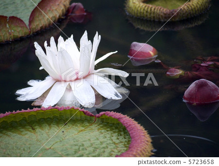 巴拉圭俄亥俄州獎金 5723658