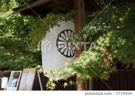 Shimogamo Shrine Shimogamo Shrine 5724504