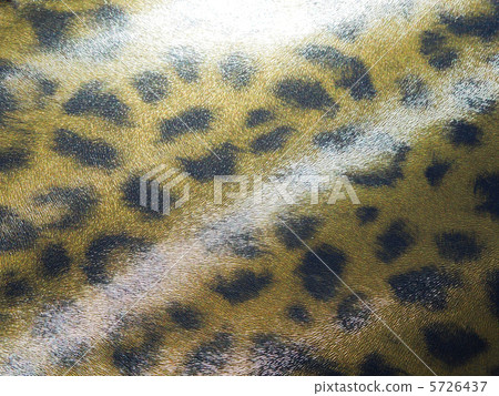 Leopard print Leopard print 5726437
