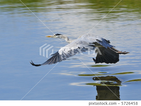 Low altitude 5726458