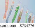 鯉魚旗 5734776