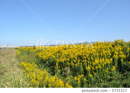 Seita kawadasshi看到了社區 5735317