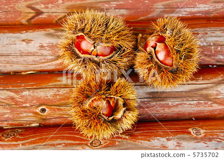 Autumn taste ~ chestnut (3 pieces) (Fukaya city, Saitama Prefecture) 5735702