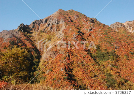 Main peak of Nasu mountain range "Asahi-dake" (Nasu-machi, Nasu-gun, Tochigi) 5736227