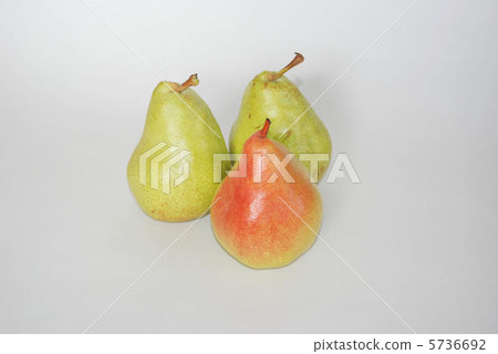 Pear Pear 5736692