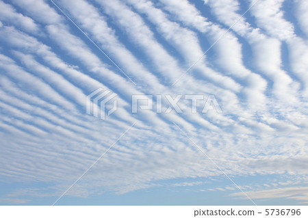 沙丁魚雲 沙丁魚雲 5736796