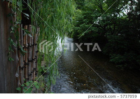 白川市的Senoragi（京都市東山區） 5737059
