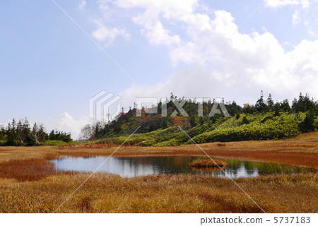 Tsugaike Nature Park Tsugaike Nature Park 5737183