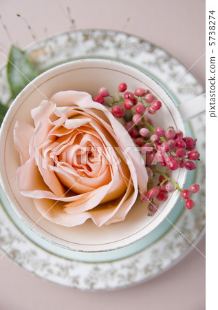Antique cup and roses 5738274
