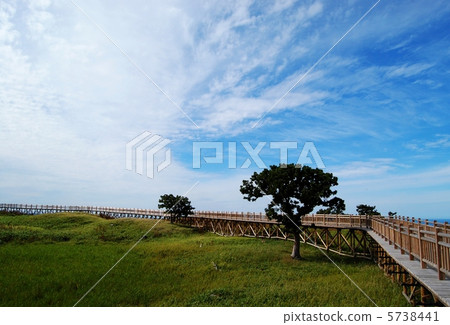 Shiretoko Gumo 5738441