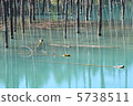 Beautiful blue pond 5738511