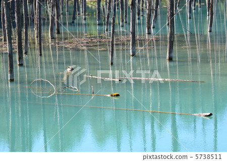 Beautiful blue pond Beautiful blue pond 5738511