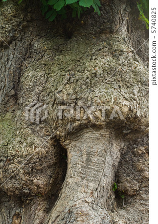 Formative beauty Formative beauty 5740825