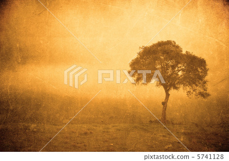 grunge image of a tree on a vintage paper grunge image of a tree on a vintage paper 5741128