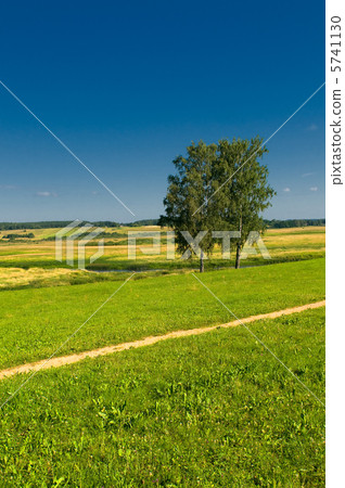 rural landscape with two trees 5741130