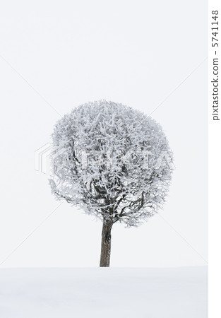 winter landscape 5741148