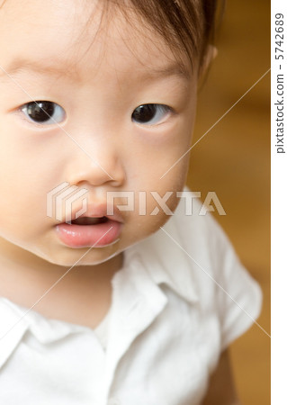 一個無辜的一個半嬰兒 一個無辜的一個半嬰兒 5742689