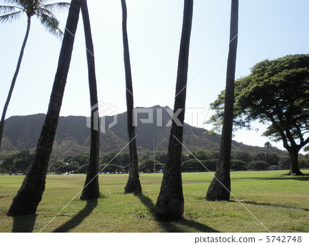 Diamond head 1 seen from Kapiolani Park 1 Diamond head 1 seen from Kapiolani Park 1 5742748