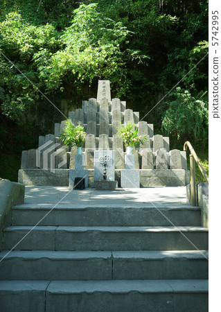 Satsuma Monster 5742995