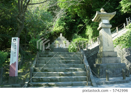 薩摩怪物 5742996