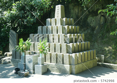 Satsuma Monster 5742998