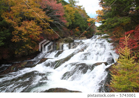 Cold waters fall foliage 5743001