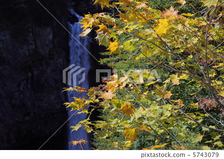 Kegon Falls which have autumnal leaves 5743079
