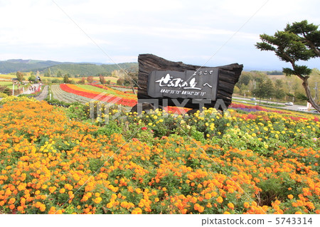 Flower hill Flower hill 5743314