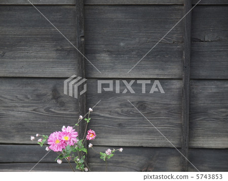 Wandering landscape with flowers 5743853