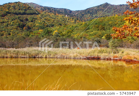 The autumnal leaves seen from the Akanuma of Hachimantai The autumnal leaves seen from the Akanuma of Hachimantai 5743947