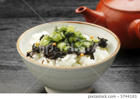 野澤娜娜 野澤娜娜 5744183