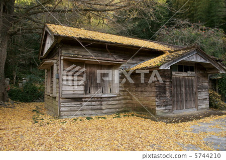 落葉和小屋 5744210