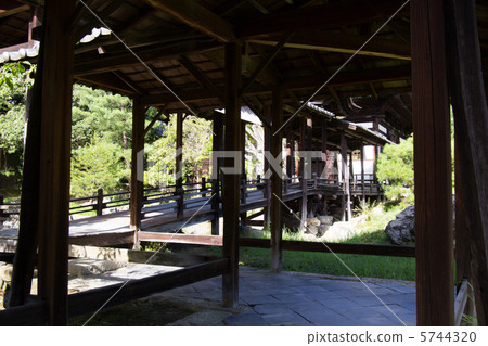 Kodaiji in the summer 5744320