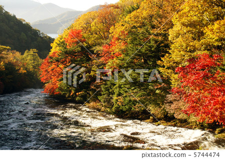 Autumnal crown falls falls 5744474