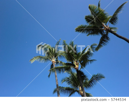 夏威夷的熱帶天空島 夏威夷的熱帶天空島 5744534
