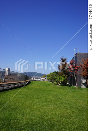 Aerial garden Aerial garden 5744686