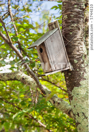 Forest hive box Forest hive box 5744810
