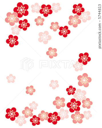 梅花 梅花 5744813