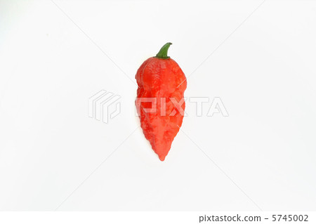 Orange Joloquia 5745002