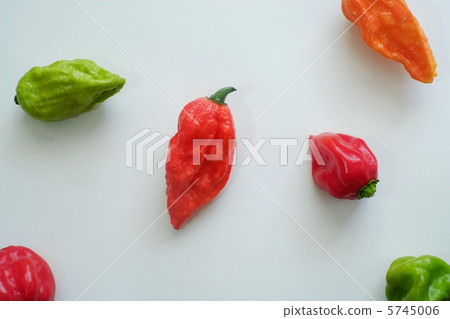 Joroquia and Habanero 5745006