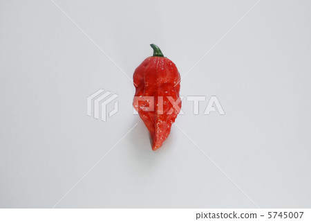 Red Joloquia Red Joloquia 5745007