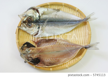 竹莢魚的開幕 5745113