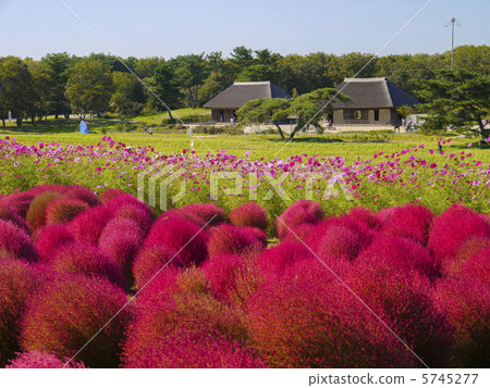 Kokia和舊的私人住宅 5745277