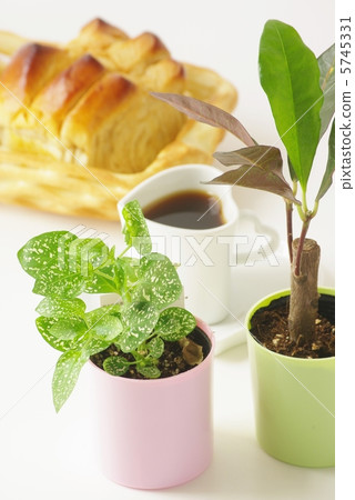 Breakfast image Breakfast image 5745331