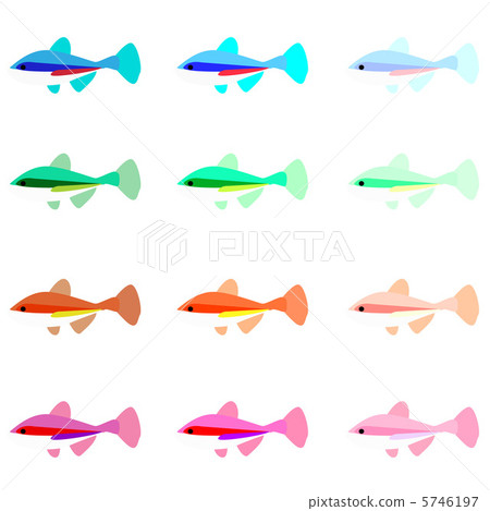 熱帶魚 5746197