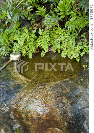 Green hand wheel 5750972