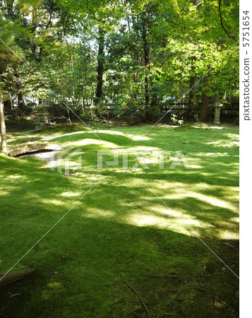 野宮神社 5751654